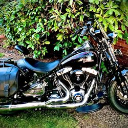 Harley Davidson Soft Tail Cross Bones