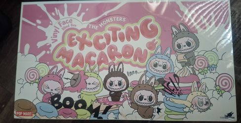 Sealed labubu case