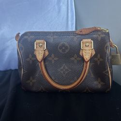Louis Vuitton mini bag   