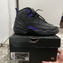 Jordan 12s Dark Concord
