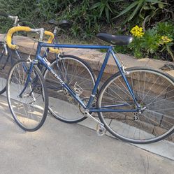 Nishiki International Vintage 1983 Road Bike
