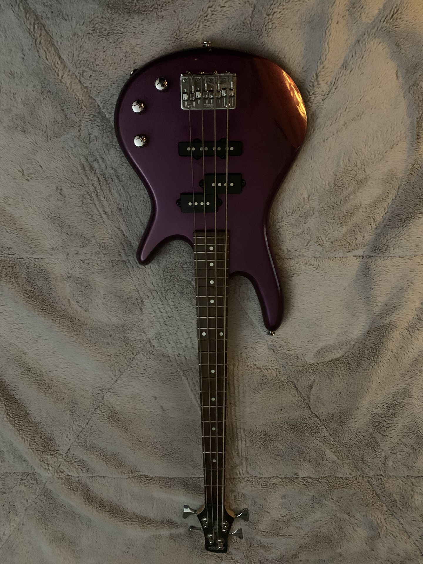 Ibanez Electric Bass Guitar