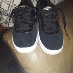 Brand new Pumas