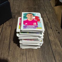 2026 Panini Fifa World Cup stickers