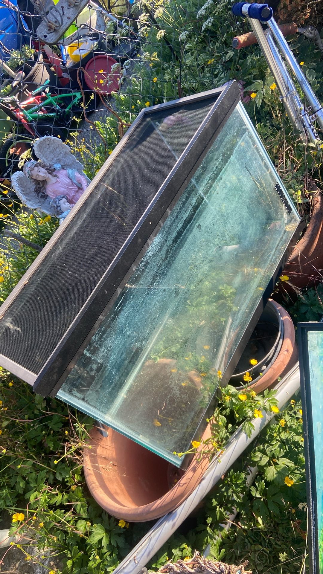 30 Gallons Fish Tank Price 30$. Pick. E. 72. and. Grandview E. Tacoma