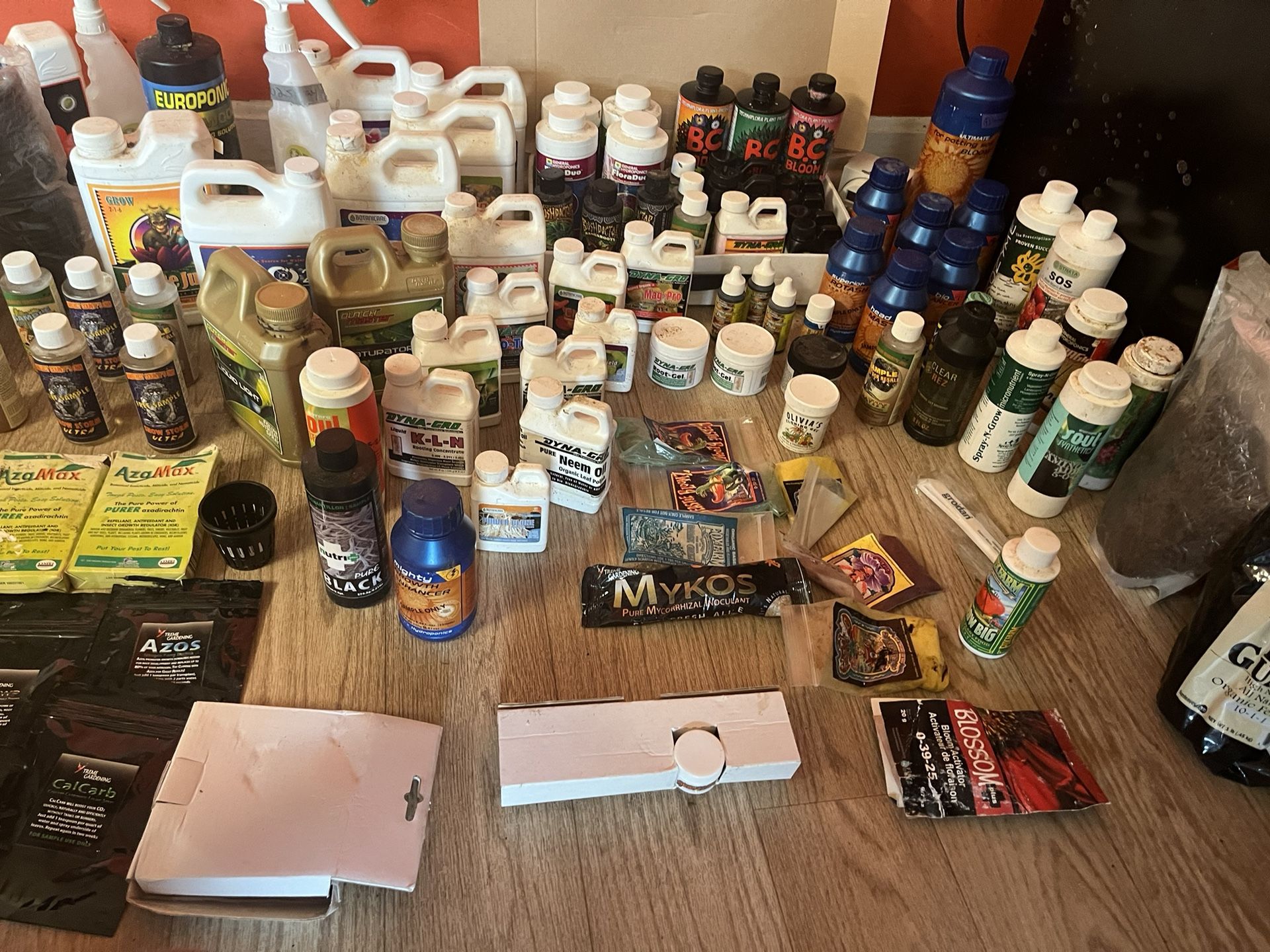 Htc Growing