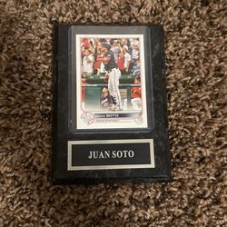 Juan Soto Frame