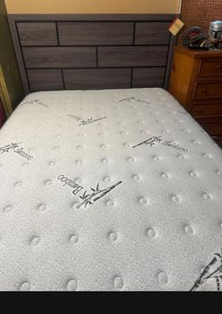 Cama