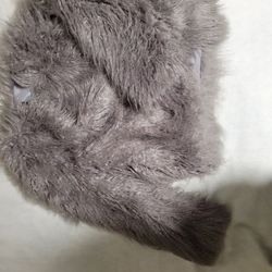 Furr Coat