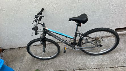 Nishiki bike