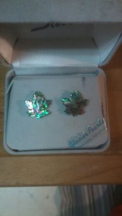 Real Abalone! earings!!