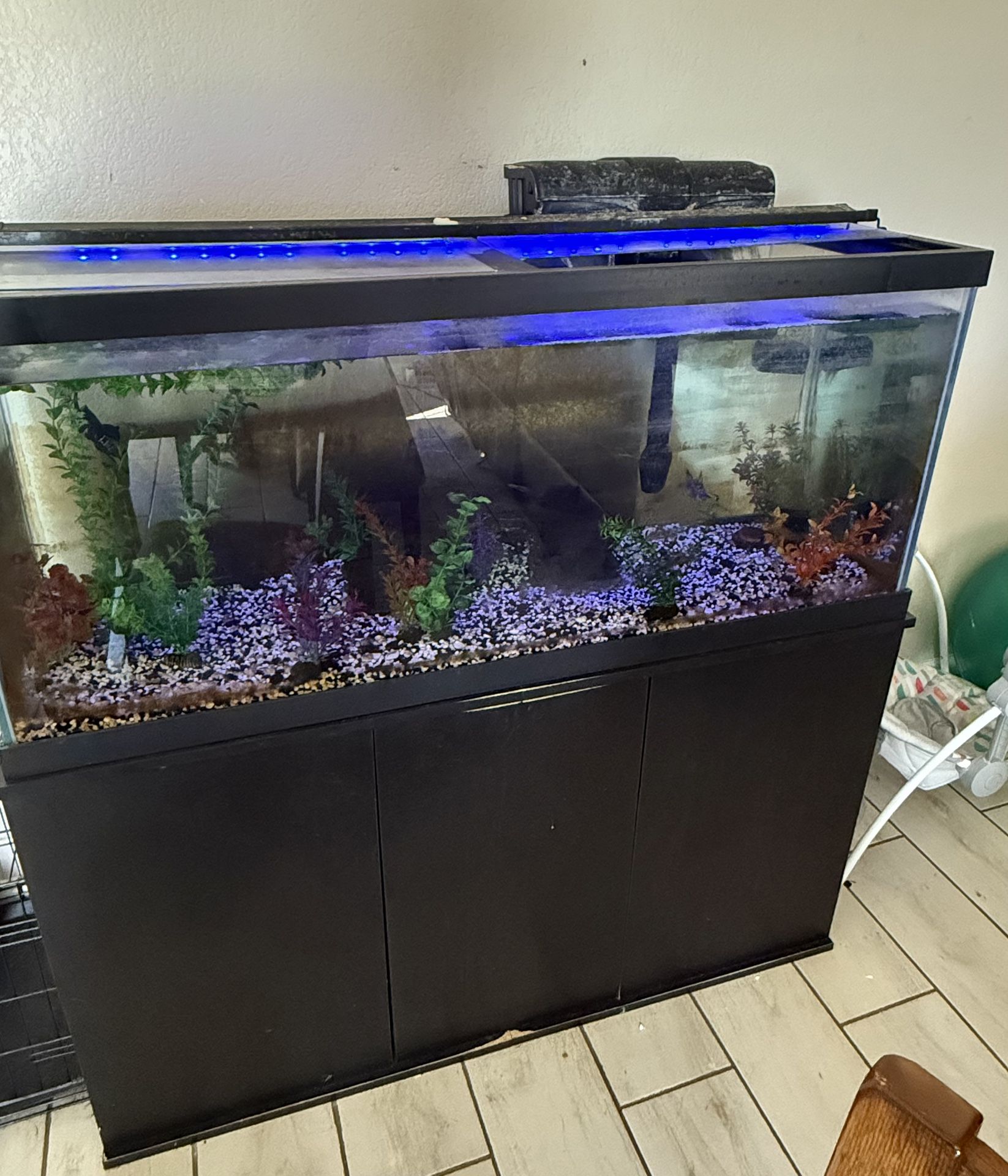 70 Gal Aquarium And Stand