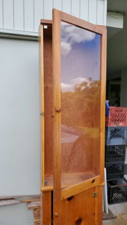 Custom built wooden cabinet with the glass door