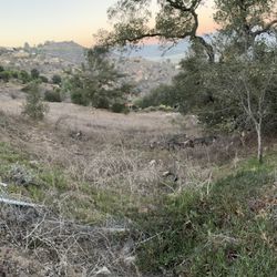 FREE SEASONED OAK FIREWOOD