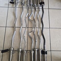 Weight Olympic Curl Bars
