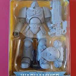 Warhammer 40000 ~ 7-INCH SPACE MARINE PRIMARIS HELLBLASTER ARTIST PROOF (WAVE 2)