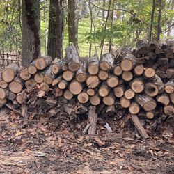 Firewood 