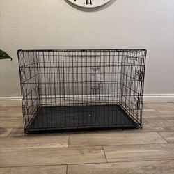 Dog Kennel 