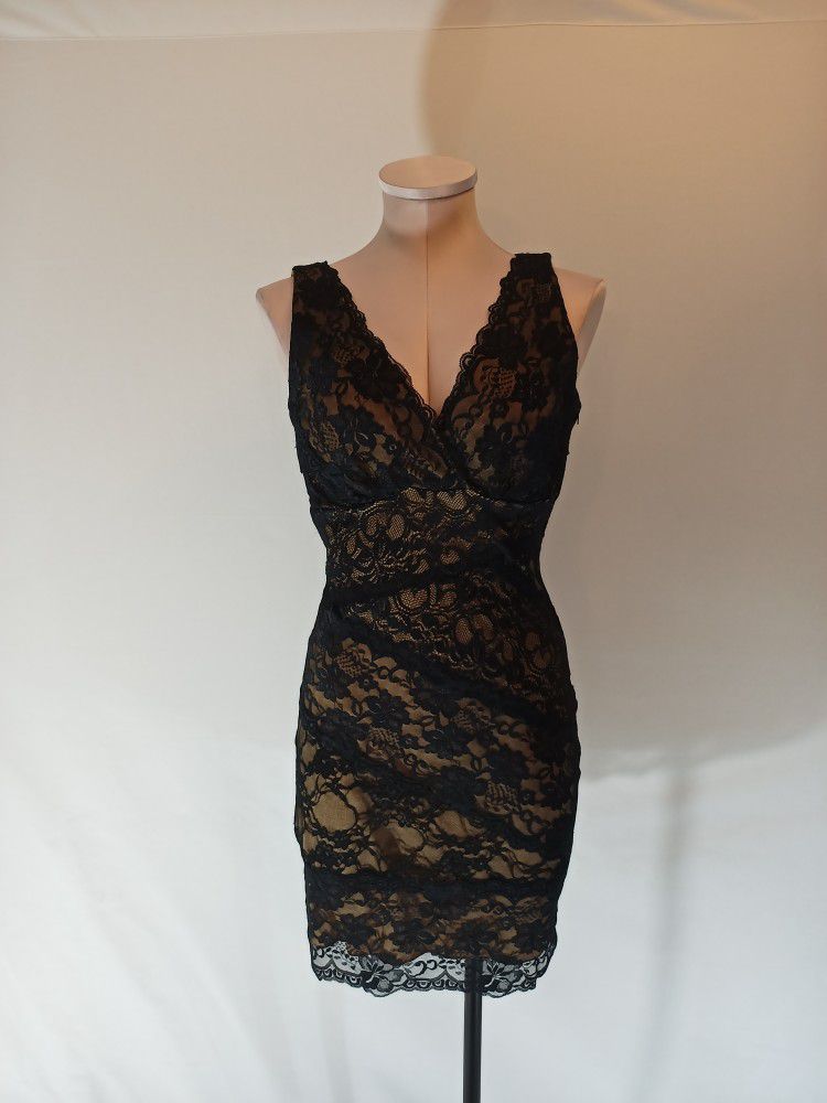 NWT Windsor Nude And Black Lace Dress  