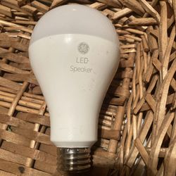 GE Speaker Bulb 