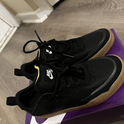 Nike Sb Day One 