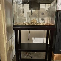 20 Gallon Fish Tank W/Black Wooden Stand & Filter