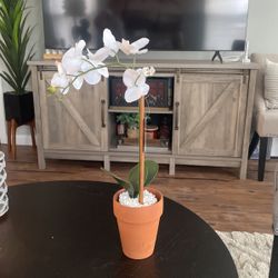 Floral Decor