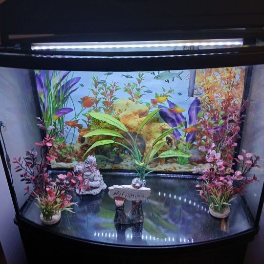 40 Gal Tank For SALE!!
