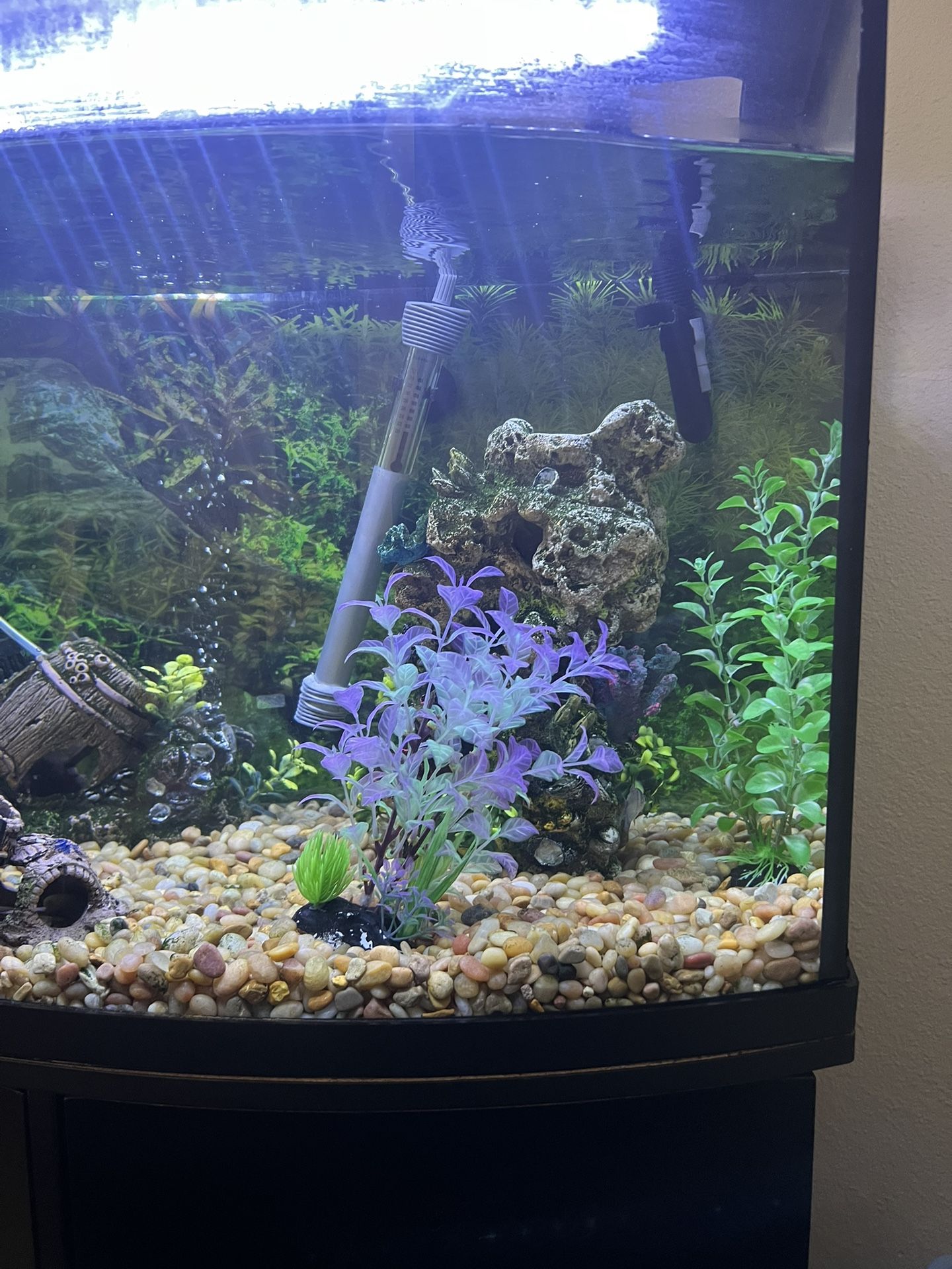 Aquarium