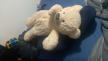 Big teddy bear