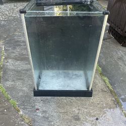 Fluval Tank 2.6 Gallon