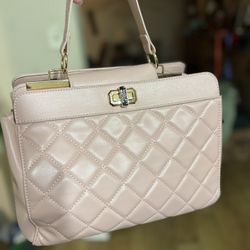 Badgley Mischka Purse