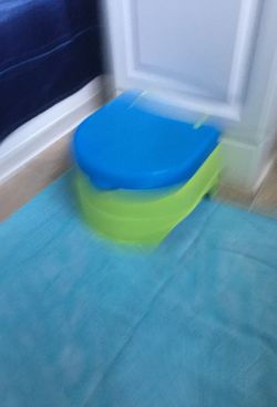 Training Potty/Stool