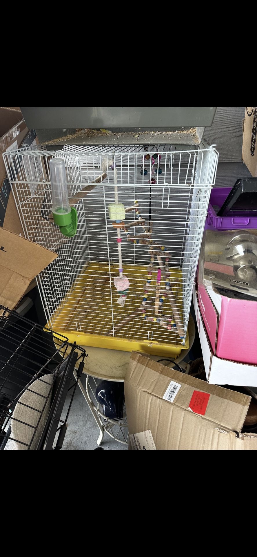 Bird Cages