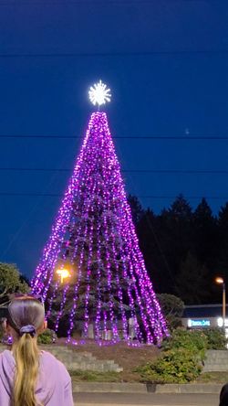 PURPLE LIGHT NIGHT