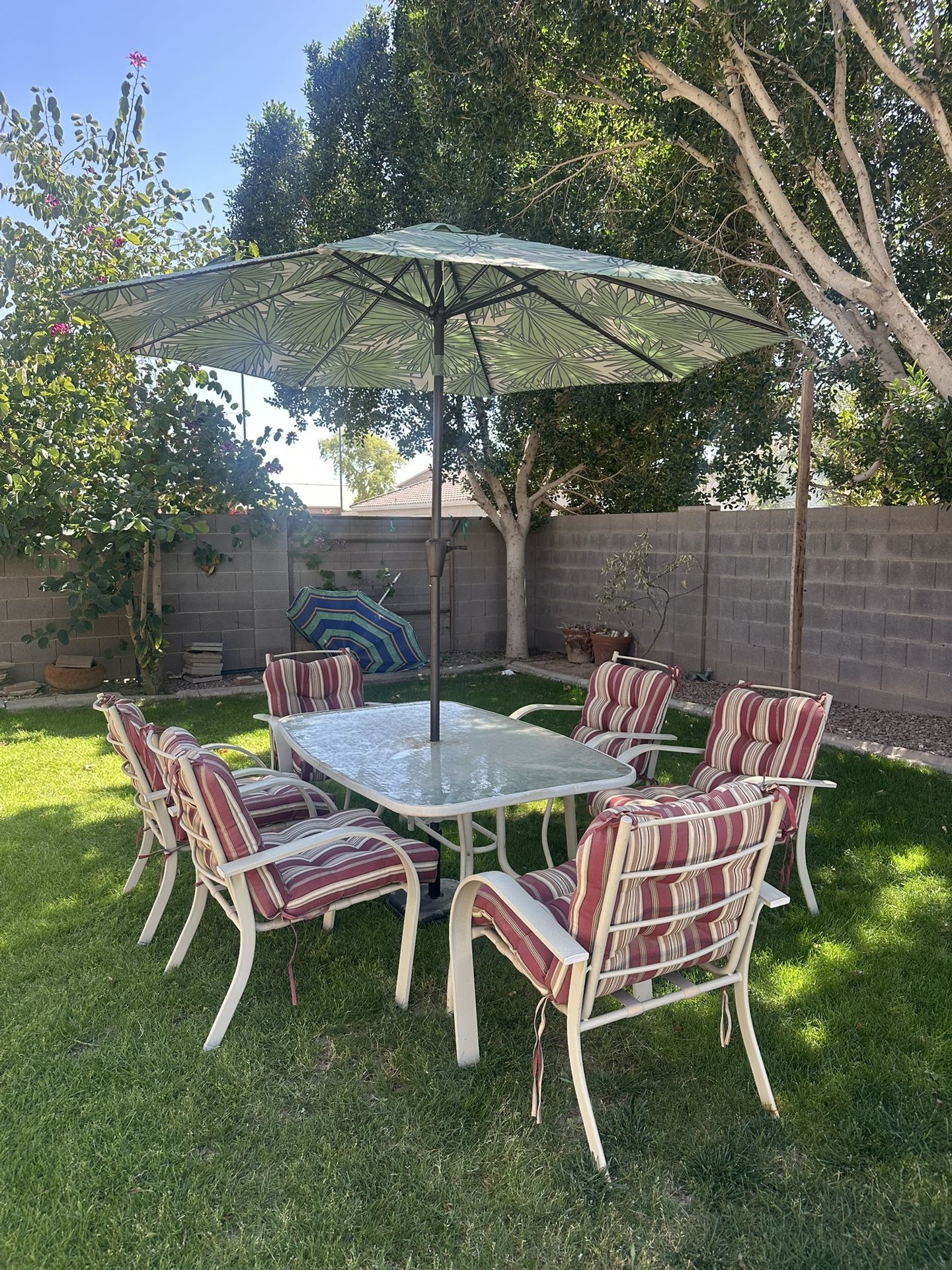 Patio/Back Yard Set
