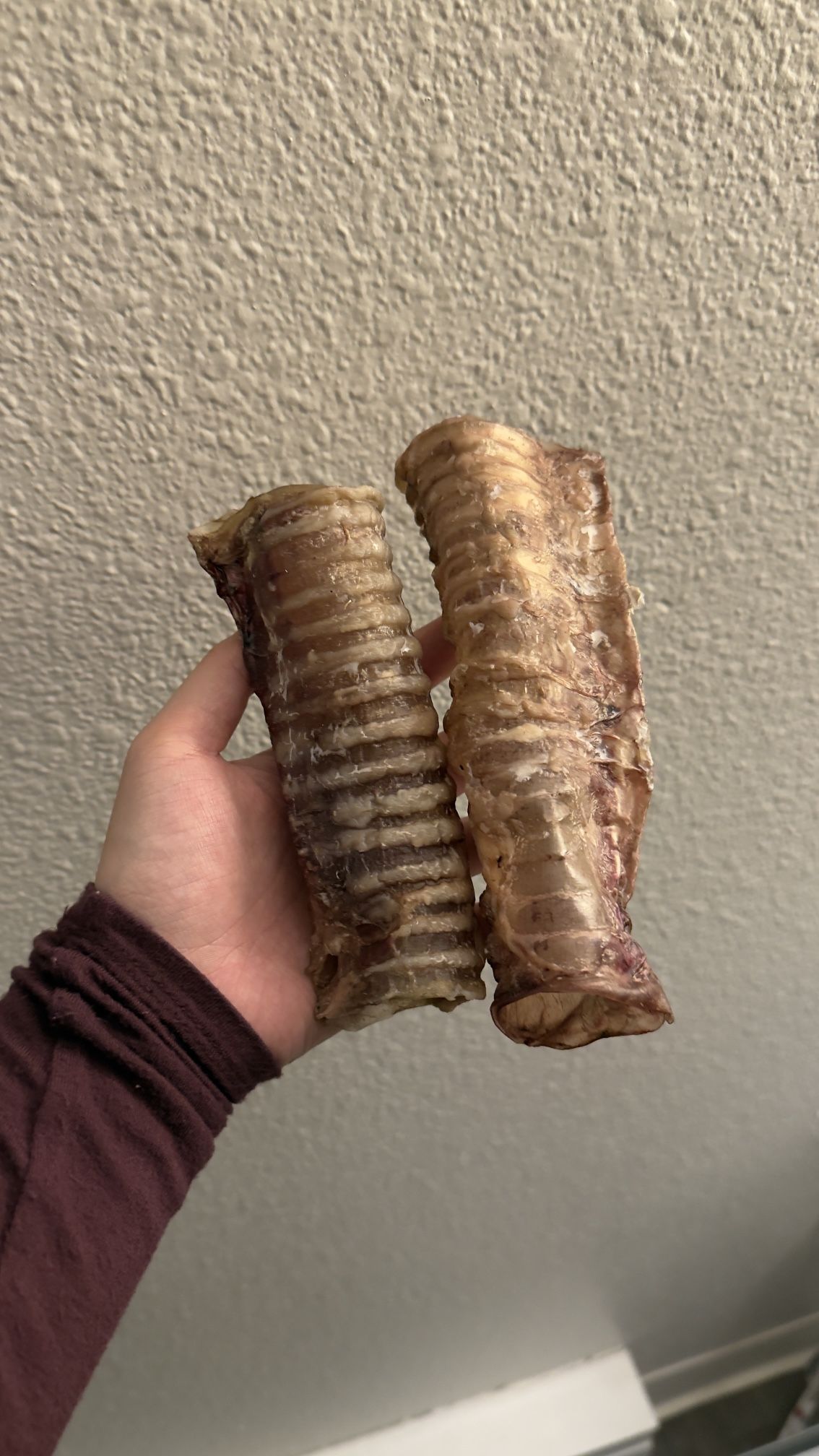 Beef Trachea