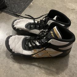 Wrestling Shoes