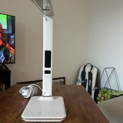 Lamp With LED LIGHT