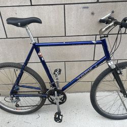 Trek Mtn Bike XL 6’1+ Carbon Fork Light City Bike