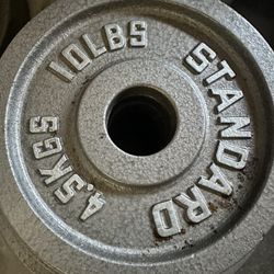 10 LB Weights 