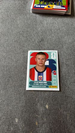Panini  stickers halland