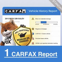 Carfax Vehicle History Report (Fast)