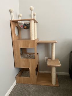 Cat scratch post