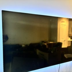 55 in Insignia Fire TV