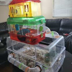 FREE - Hamster Cage And Portable Cage