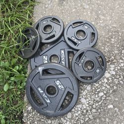 Weight Olympic Plates 