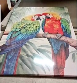 Bird Wall Art Colorful Parrot Canvas Wall art, 16”x24”