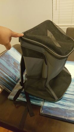 Travel pet back pack