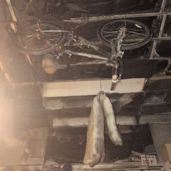 Specialized Mountain Bike